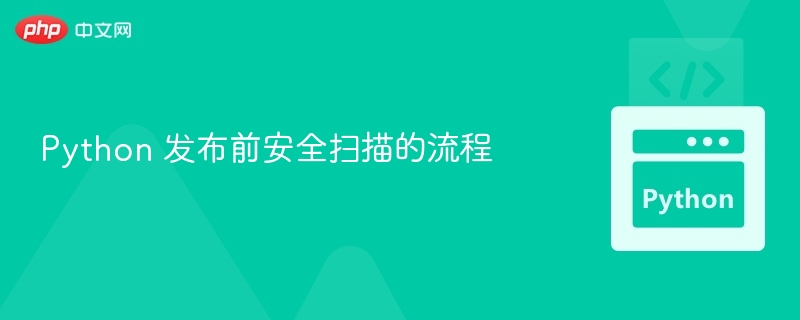 Python项目发布前安全检查指南