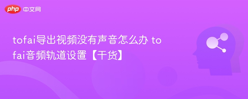 TOFAI导出视频没声音怎么解决