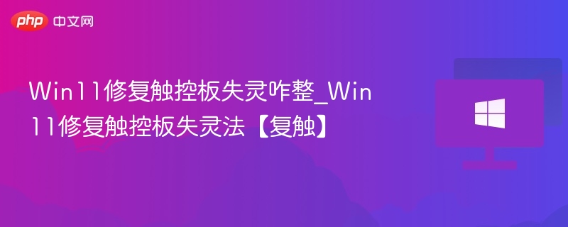 Win11触控板失灵怎么修？