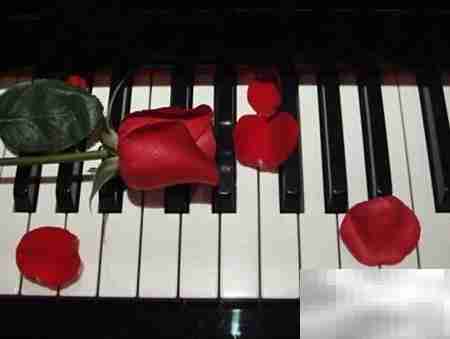 如何听懂钢琴曲的秘诀