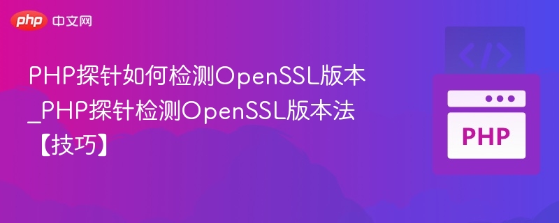 PHP探针如何检测OpenSSL版本_PHP探针检测OpenSSL版本法【技巧】