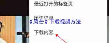 风芒app如何下载视频