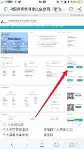 学信网报告在线验证码怎么用