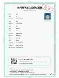 学信网报告在线验证码怎么用