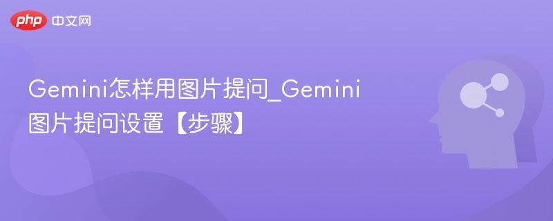 Gemini图片提问设置方法详解