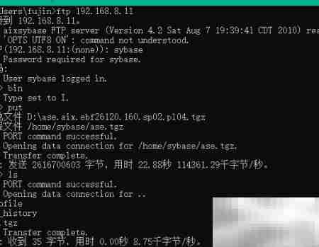 AIX7.1安装Sybase ASE 16.0