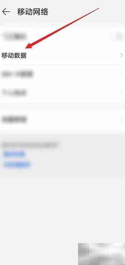 鸿蒙3.0移动数据高级设置指南