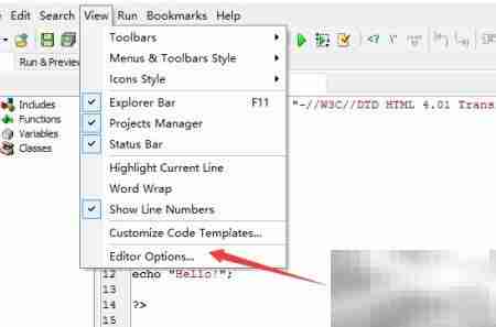 DzSoft PHP Editor保存后撤销关闭方法