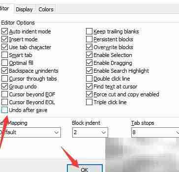 DzSoft PHP Editor保存后撤销关闭方法