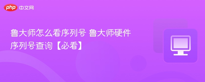 鲁大师序列号怎么查？详细步骤解析