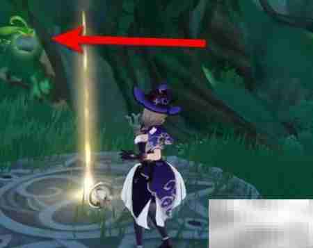 原神3.1寻星第三天攻略