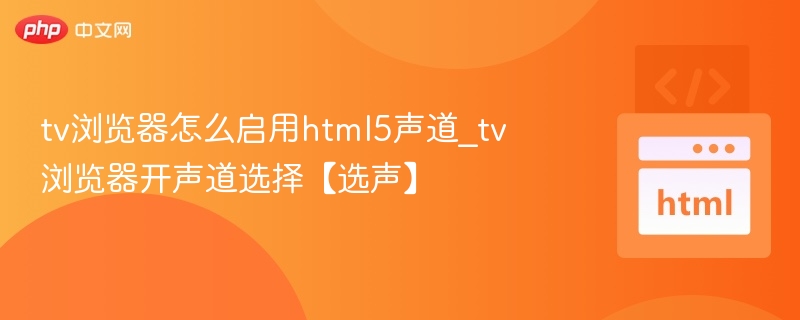 tv浏览器怎么启用html5声道_tv浏览器开声道选择【选声】