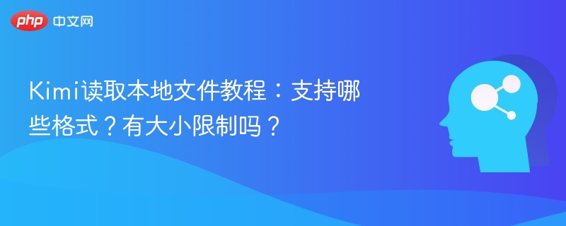 Kimi读取本地文件教程:支持哪些格式?有大小限制吗?