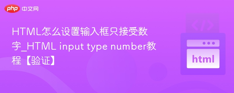 数字输入框设置与验证技巧