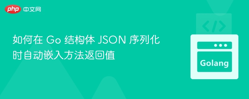 Go结构体JSON序列化自动调用方法