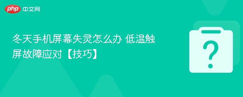低温下手机屏幕失灵怎么办