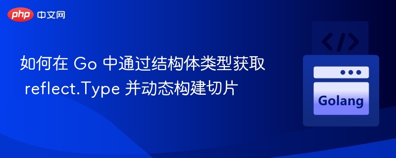 Go结构体反射获取类型与切片构建技巧