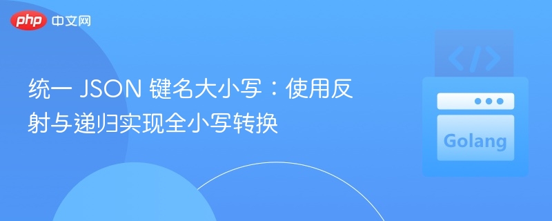 统一 JSON 键名大小写:使用反射与递归实现全小写转换