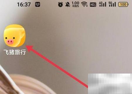 飞猪汽车票查询与使用教程详解