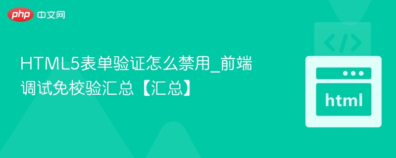 HTML5表单验证怎么禁用_前端调试免校验汇总【汇总】