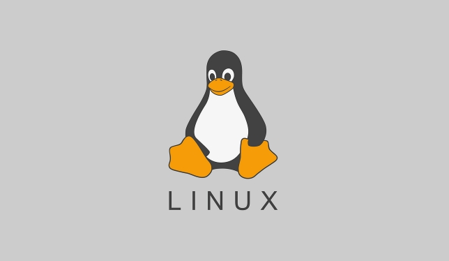 Linux环境变量查看技巧