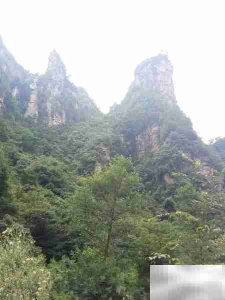 鸣凤村2018乡村游散记