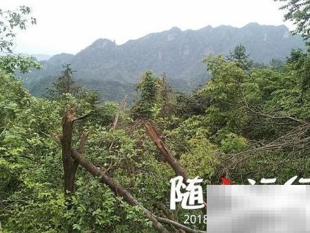 鸣凤村2018乡村游全攻略