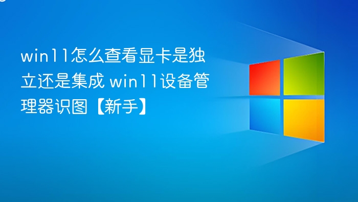 win11怎么查看显卡是独立还是集成 win11设备管理器识图【新手】