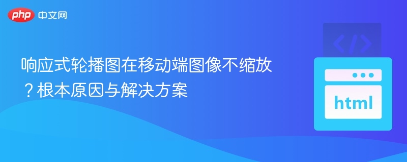 响应式轮播图移动端不缩放原因及解决方法