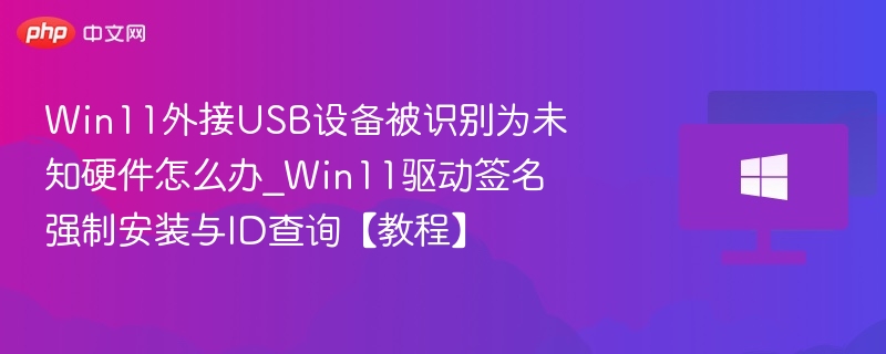 Win11外接USB设备被识别为未知硬件怎么办_Win11驱动签名强制安装与ID查询【教程】