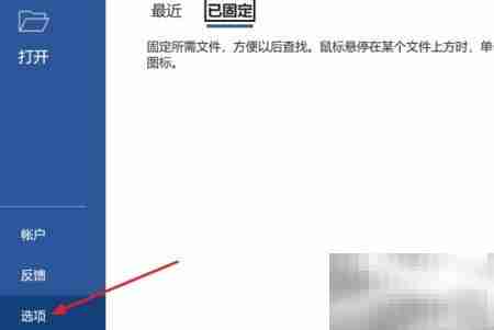 Word2021保持辅助检查器运行