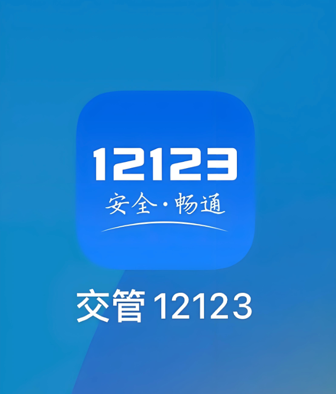 交管12123查车状态方法