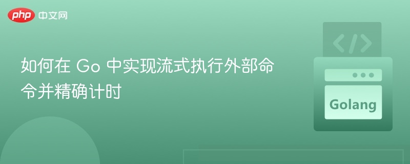Go语言流式执行与精准计时技巧