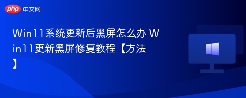 Win11黑屏问题解决教程