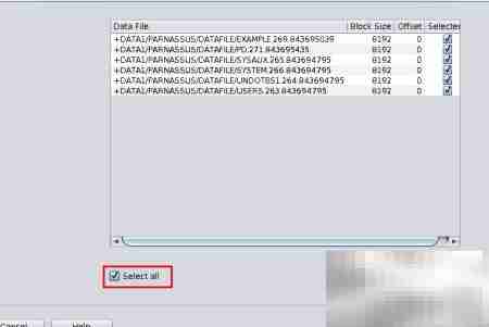 Oracle ASM数据库恢复