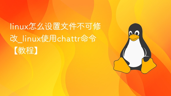 linux怎么设置文件不可修改_linux使用chattr命令【教程】