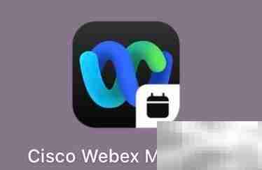 如何查看Webex Meetings版本