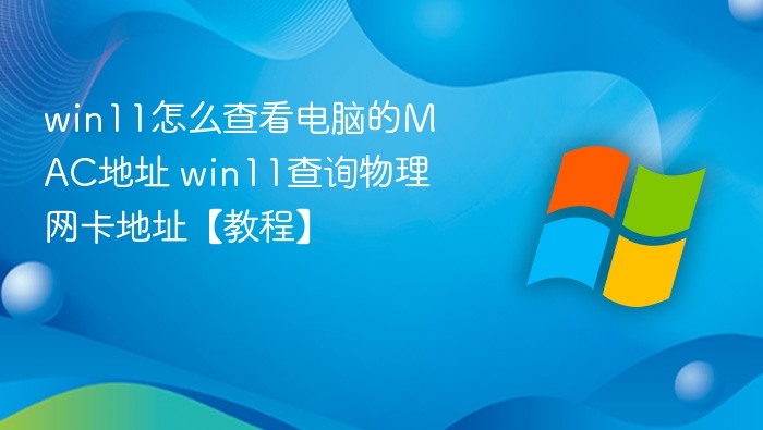 win11怎么查看电脑的MAC地址 win11查询物理网卡地址【教程】