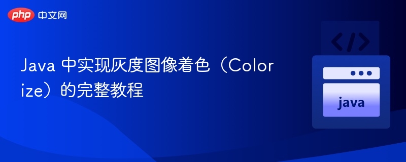 Java 中实现灰度图像着色(Colorize)的完整教程