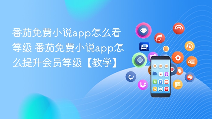 番茄小说等级查看方法及会员提升技巧