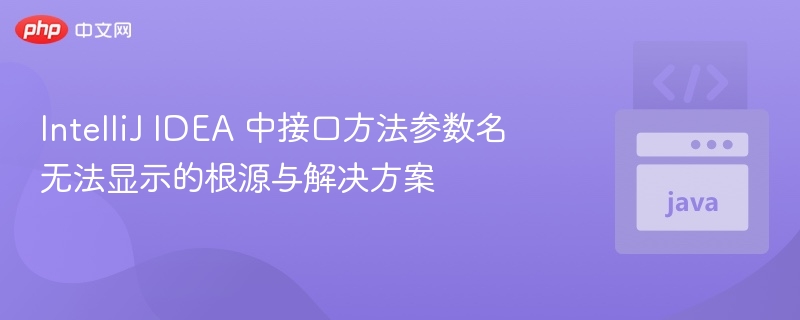 IntelliJ IDEA 中接口方法参数名无法显示的根源与解决方案
