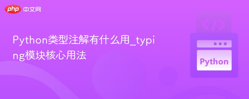 Python类型注解详解与typing模块使用指南