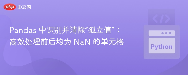 Pandas清除前后NaN的孤立值方法