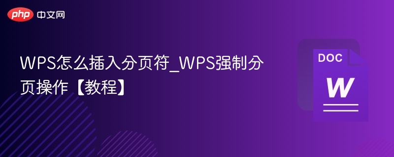 WPS分页符插入方法及强制分页教程