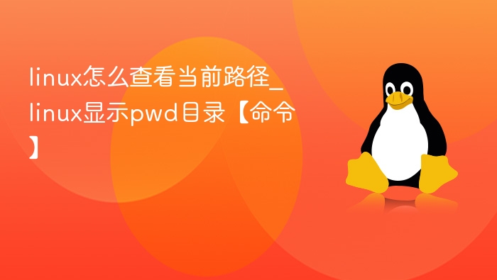 Linux查看当前路径命令pwd使用方法
