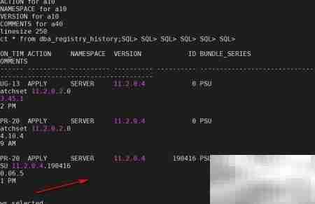 Oracle集群补丁实施指南