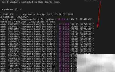 Oracle集群补丁实施指南
