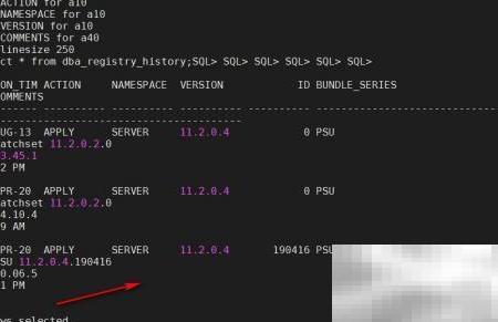 Oracle集群补丁安装步骤详解