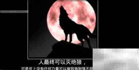 影片制作入门指南