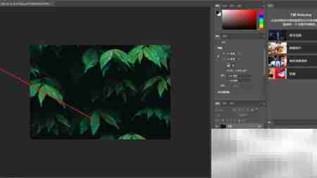 PS橡皮擦工具使用技巧